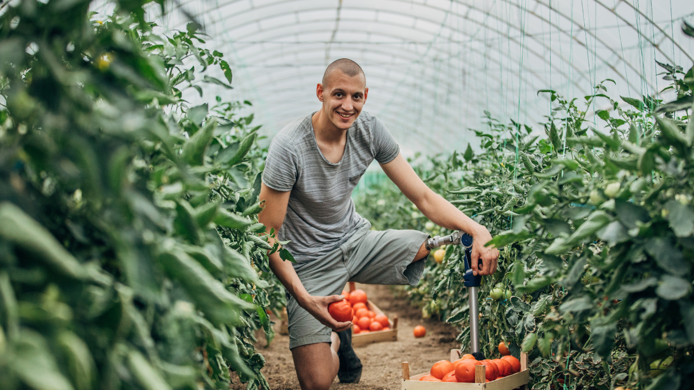 Ongoing support and guidance